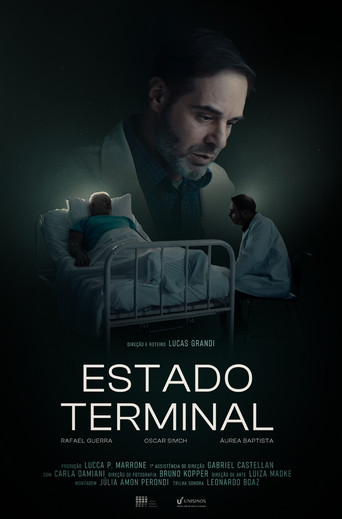 Estado Terminal movie poster