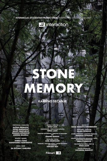 Stone Memory movie poster