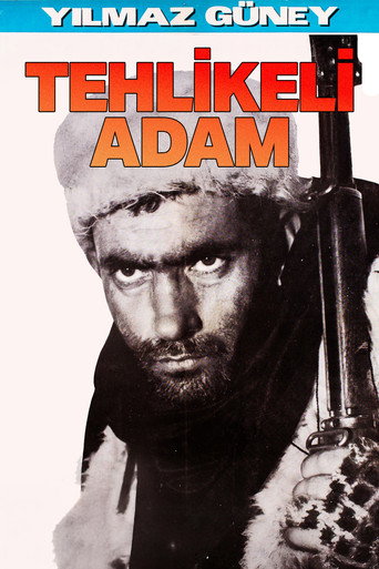 Tehlikeli Adam movie poster