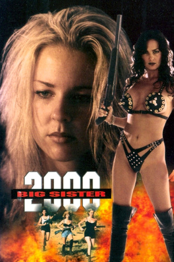 Big Sister 2000 movie poster