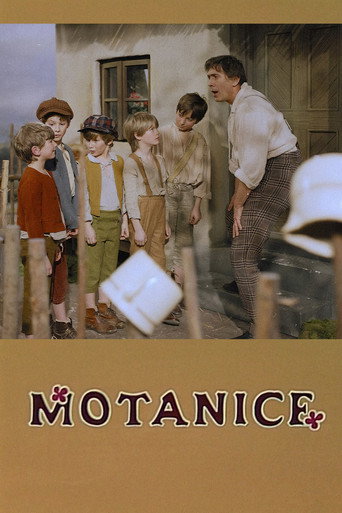Motanice movie poster