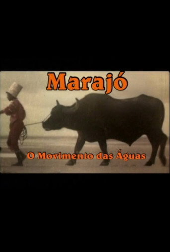 Marajó: A Origem das Águas movie poster