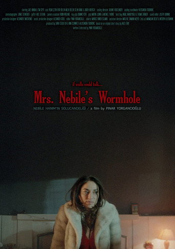 Nebile Hanım'ın Solucan Deliği movie poster