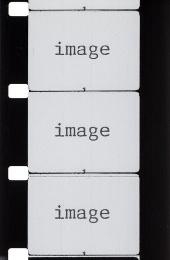 VO/ID movie poster