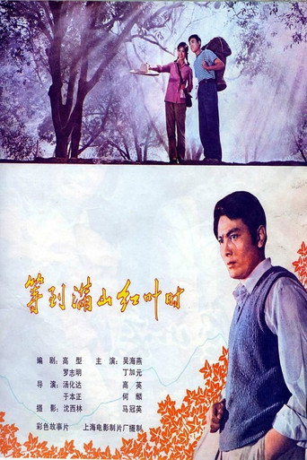 等到满山红叶时 movie poster
