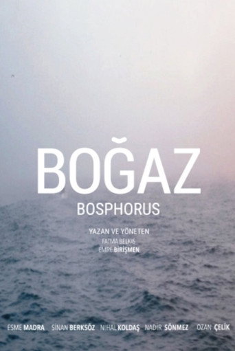 Bosphorus movie poster