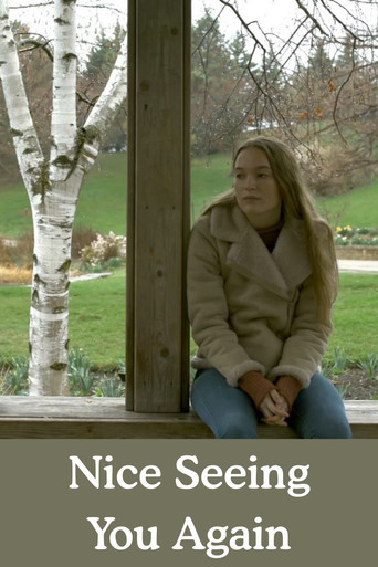 Nice Seeing You Again movie poster