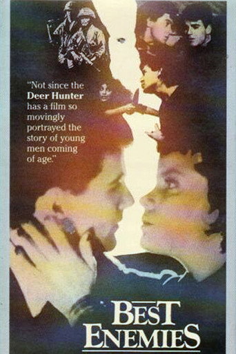 Best Enemies movie poster