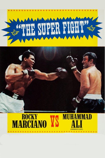 The Super Fight movie poster