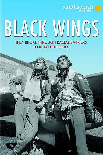 Black Wings movie poster