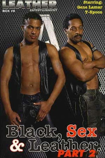 Black, Sex & Leather 2 movie poster