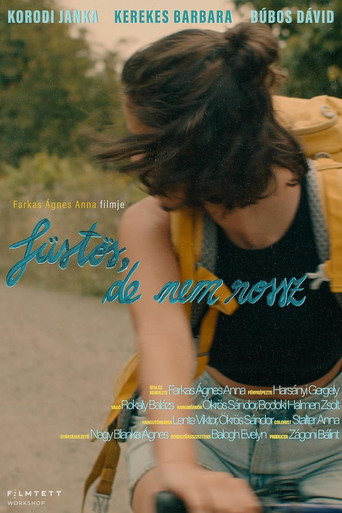 Smoky Like the Last Day of Summer movie poster