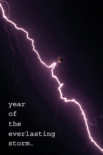 The Year of the Everlasting Storm movie poster