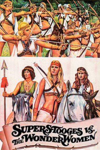 Super Stooges vs the Wonder Women movie poster