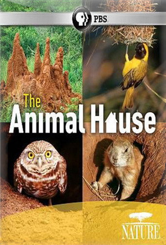 The Animal House movie poster