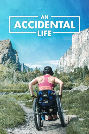 An Accidental Life movie poster