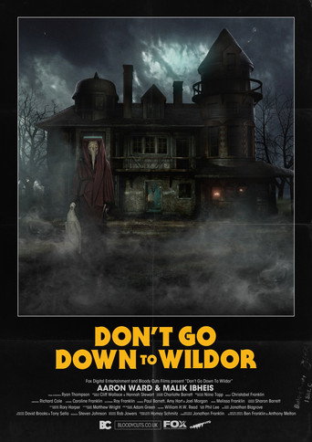 Don’t Go Down to Wildor movie poster