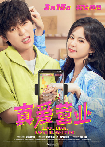 Liar, Liar, Love is on Fire movie poster