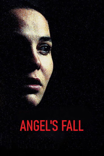 Angel's Fall movie poster