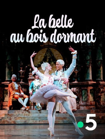 La Belle au bois dormant movie poster