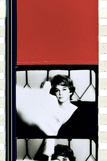 Schwechater movie poster