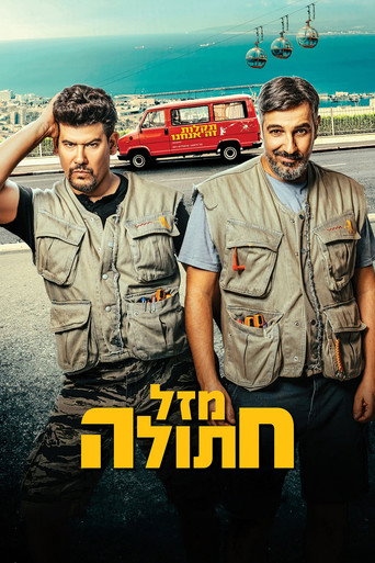 Cat's Luck movie poster
