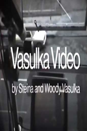 Vasulka Video movie poster