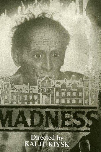 Madness movie poster