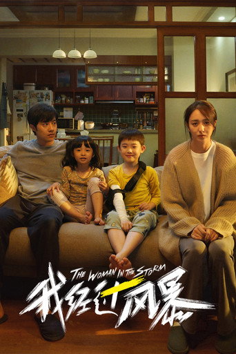The Woman in the Storm movie poster