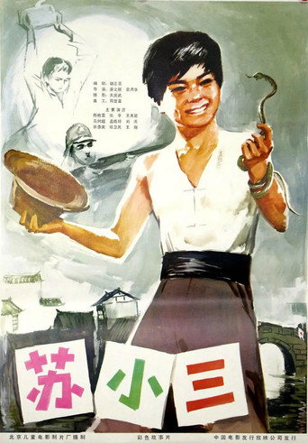 苏小三 movie poster