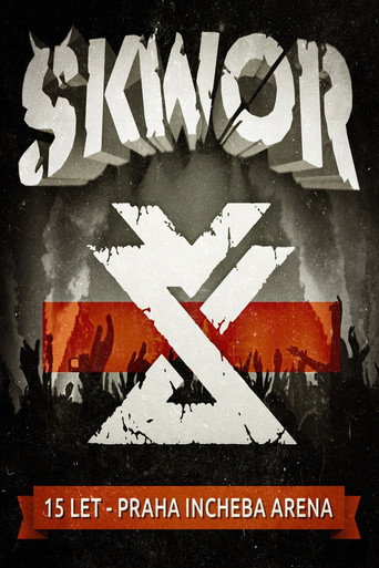 Škwor: 15 let – Praha Incheba Arena movie poster