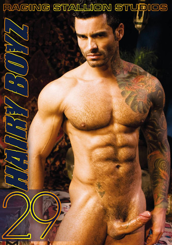 Hairy Boyz 29 movie poster