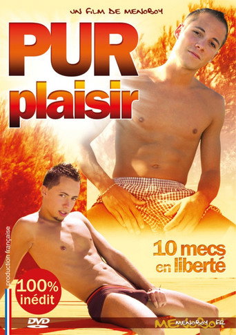 Sheer Pleasure movie poster