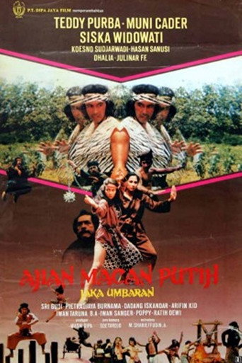 Charm of the White Tiger movie poster