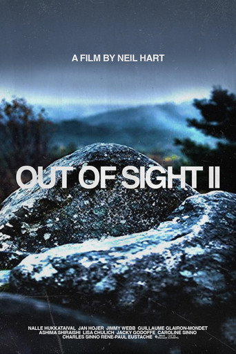Out of Sight II movie poster