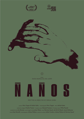 Ñaños movie poster