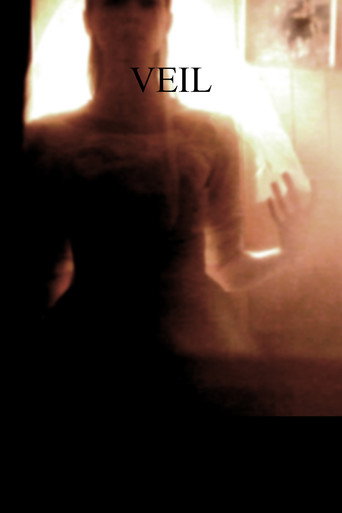 Veil movie poster