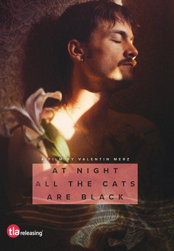 At Night All the Cats Are Black movie poster