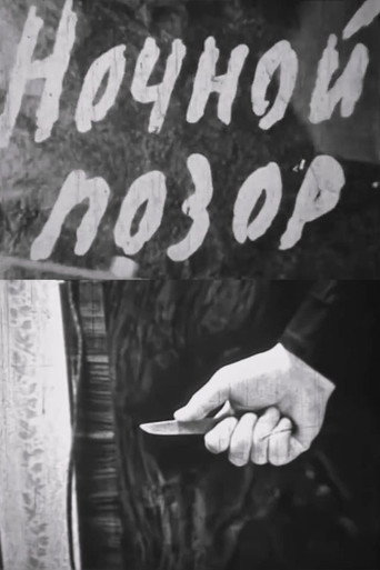 Nocturnal Shame movie poster