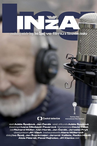 Engi – Sound Designer Ivo Špalj movie poster