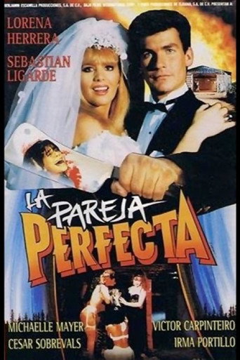 The Perfect Couple movie poster