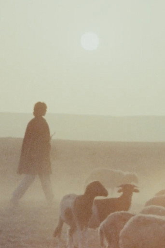 Woman is Sweeter movie poster