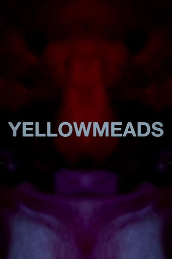 Yellowmeads movie poster
