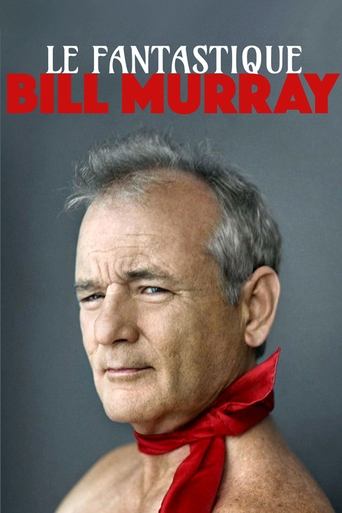 Fantastic Mr. Murray movie poster