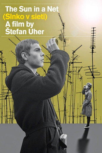 The Sun in a Net movie poster