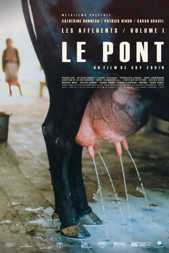 Les Affluents - Volume 1: Le pont movie poster