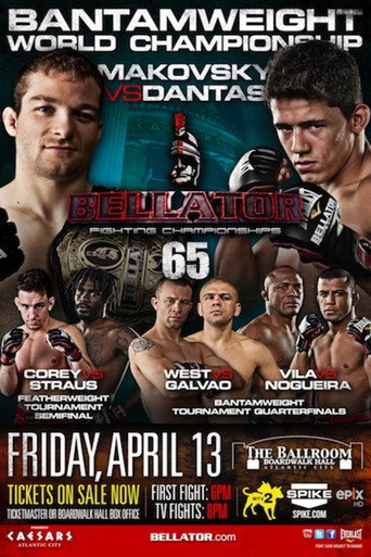 Bellator 65 movie poster