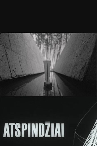 Reflections movie poster