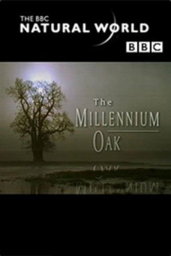 The Millennium Oak movie poster