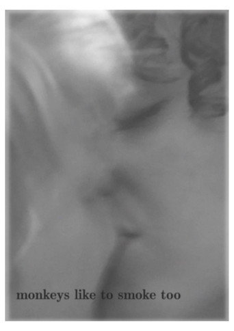 Monkeys Like to Smoke Too movie poster